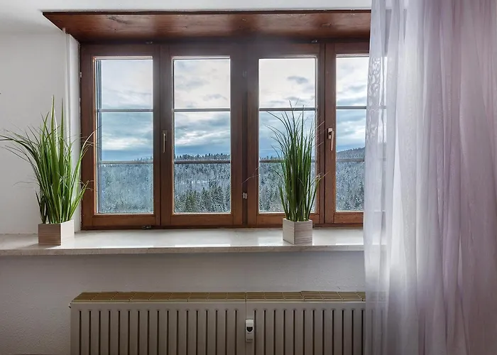 Alpenblick Apartment Todtmoos